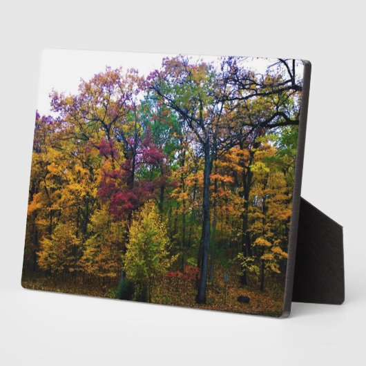 暗い秋の森 フォトプラーク (側面)