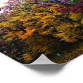 暗い秋の森 ポスター (角)