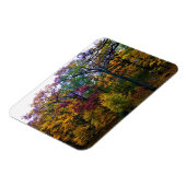 暗い秋の森 マグネット (左側)