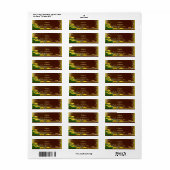 暗い素朴木黄色のフローラ蝶アドレス ラベル (フルシート)