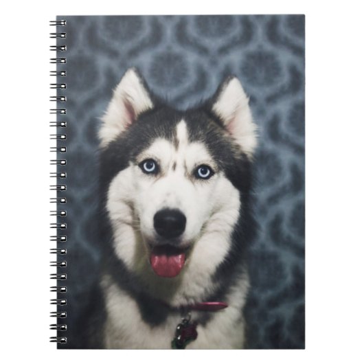 暗い背景でポーズをとるハスキーの子犬 ノートブック (正面)