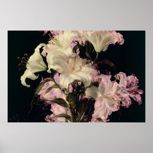 暗い背景に咲く白いユリの花のフラワーアート ポスター (正面)