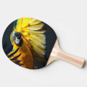 暗い背景のカラフルで飛んでいるなAra 卓球ラケット (横)