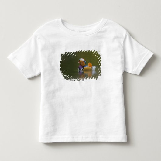 暗い背景のシナガチョウ(Aix galericulata) トドラーTシャツ (正面)