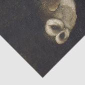 暗い背景のフクロウ 薄葉紙 (詳細)