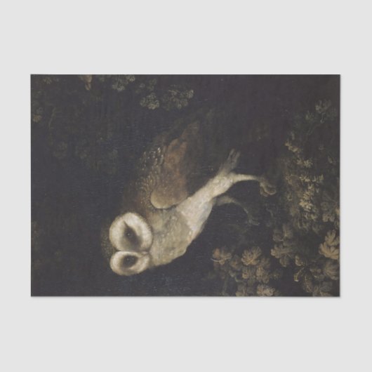 暗い背景のフクロウ 薄葉紙 (正面)