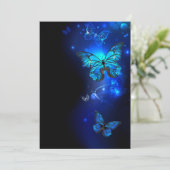 暗い背景のモルフォチョウ 招待状 (スタンド正面)