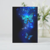 暗い背景のモルフォ・バタフライ (スタンド正面)