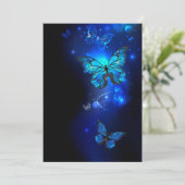 暗い背景のモルフォ・バタフライ (スタンド正面)