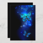 暗い背景のモルフォ・バタフライ (正面/裏面)