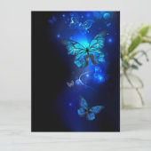 暗い背景のモルフォ・バタフライ (スタンド正面)