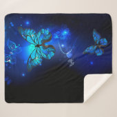 暗い背景のモルフォ・バタフライ シェルパブランケット (正面(横))