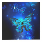 暗い背景のモルフォ・バタフライ フォトキューブ (正面)