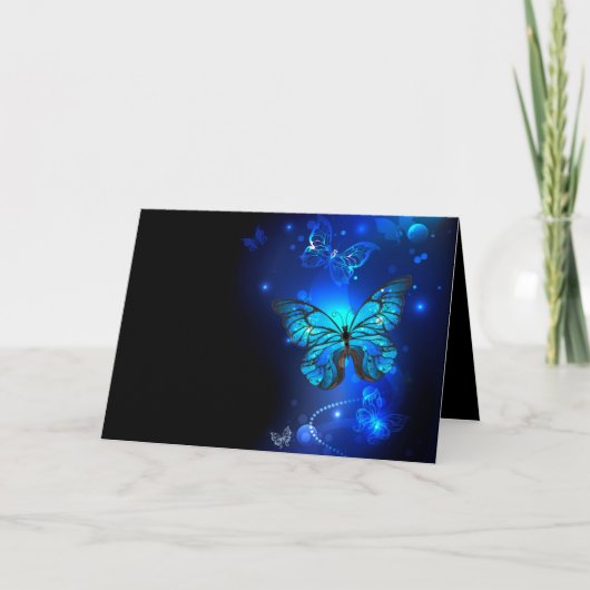 暗い背景のモルフォ・バタフライ プログラム (正面)