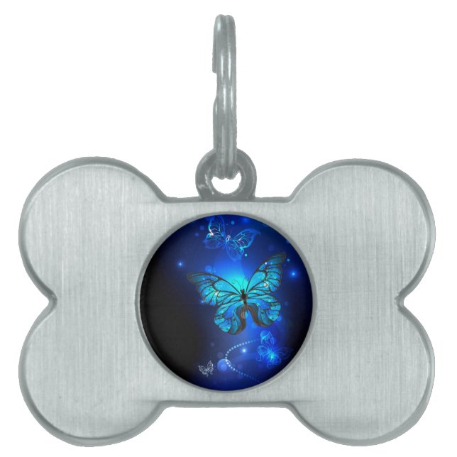 暗い背景のモルフォ・バタフライ ペットネームタグ (正面)