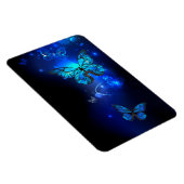 暗い背景のモルフォ・バタフライ マグネット (右側)