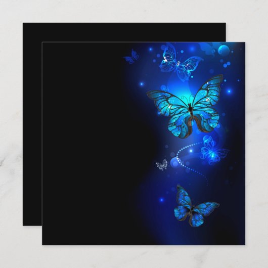 暗い背景のモルフォ・バタフライ メニュー (正面/裏面)