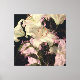 暗い背景の白いユリの花のアート キャンバスプリント