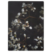 暗い背景の白い憂鬱な花 クリップボード (裏面)