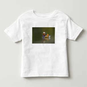 暗い背景の野生のオシドリ(Aix galericulata) トドラーTシャツ