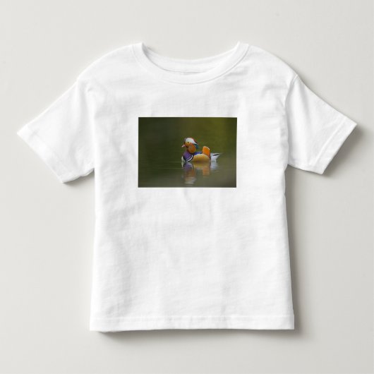 暗い背景の野生のオシドリ(Aix galericulata) トドラーTシャツ (正面)