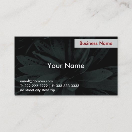 暗い花 名刺 (正面)