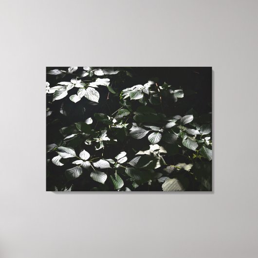 暗い葉 キャンバスプリント (正面)