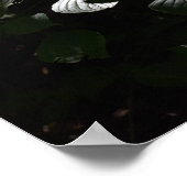 暗い葉 ポスター (角)