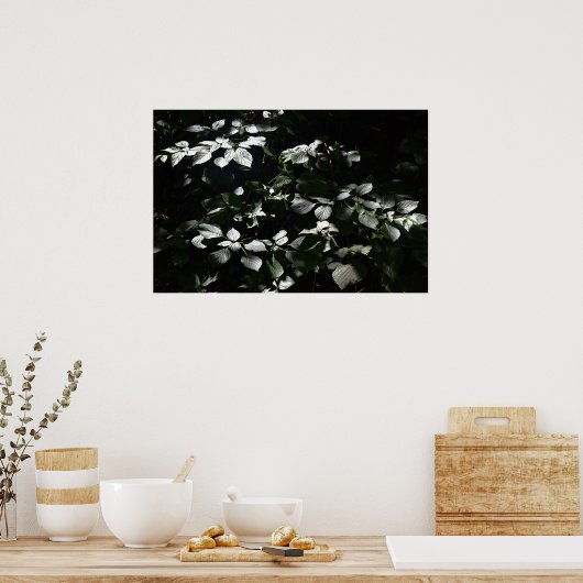 暗い葉 ポスター (キッチン)