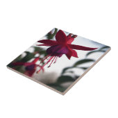 暗い赤紫色 タイル (側面)