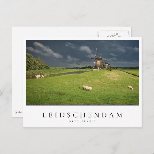 暗い雲の下に風車を持つ羊 ポストカード (正面/裏面)