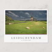 暗い雲の下に風車を持つ羊 ポストカード (正面)