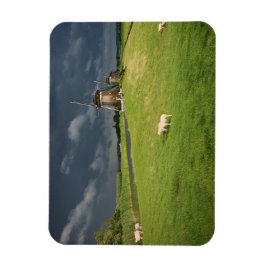 暗い雲の下に風車を持つ羊 マグネット