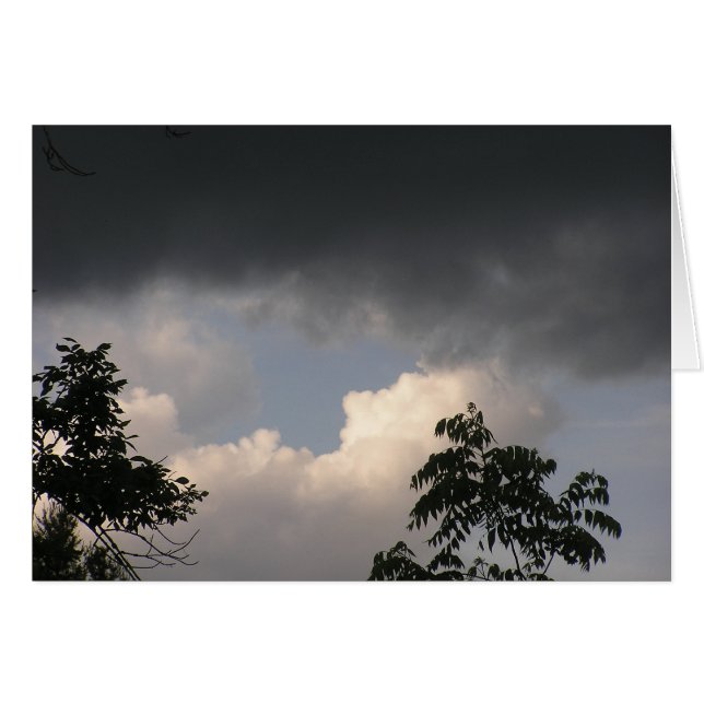 暗い雲は長くとどまりません (正面横)