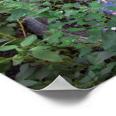 暗い願い ポスター (角)