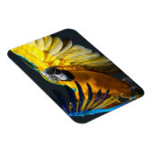 暗カラフルい飛んでいる背景の上のアラ マグネット (右側)