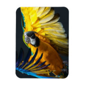 暗カラフルい飛んでいる背景の上のアラ マグネット (縦)