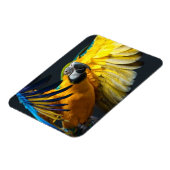 暗カラフルい飛んでいる背景の上のアラ マグネット (左側)