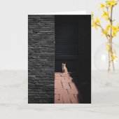 暗失ったい路地の中の考え猫 カード (黄色い花)