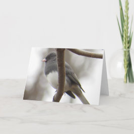 暗目のユキヒメドリの挨拶状 カード
