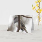 暗目のユキヒメドリの挨拶状 カード (黄色い花)