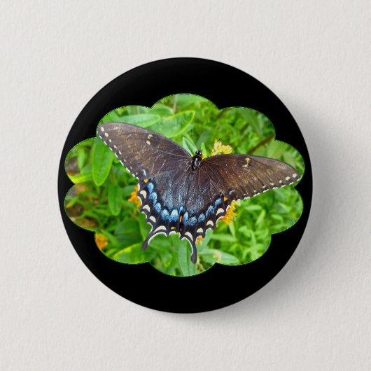 暗相タイガーアゲハチョウ蝶アイテム 缶バッジ (正面)