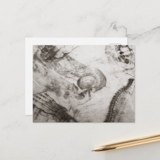 暗色学解剖学 ポストカード (正面/裏面インサイチュ)