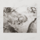 暗色学解剖学 ポストカード (正面)