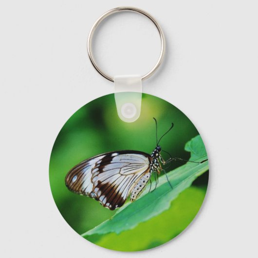 暗褐色と灰色の蝶 キーホルダー (正面)