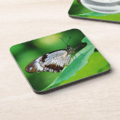 暗褐色と灰色の蝶 コースター (左側)