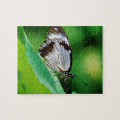 暗褐色と灰色の蝶 ジグソーパズル (横)
