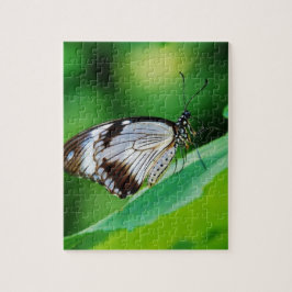暗褐色と灰色の蝶 ジグソーパズル