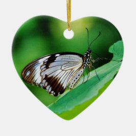 暗褐色と灰色の蝶 セラミックオーナメント