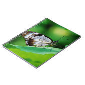 暗褐色と灰色の蝶 ノートブック (左側)